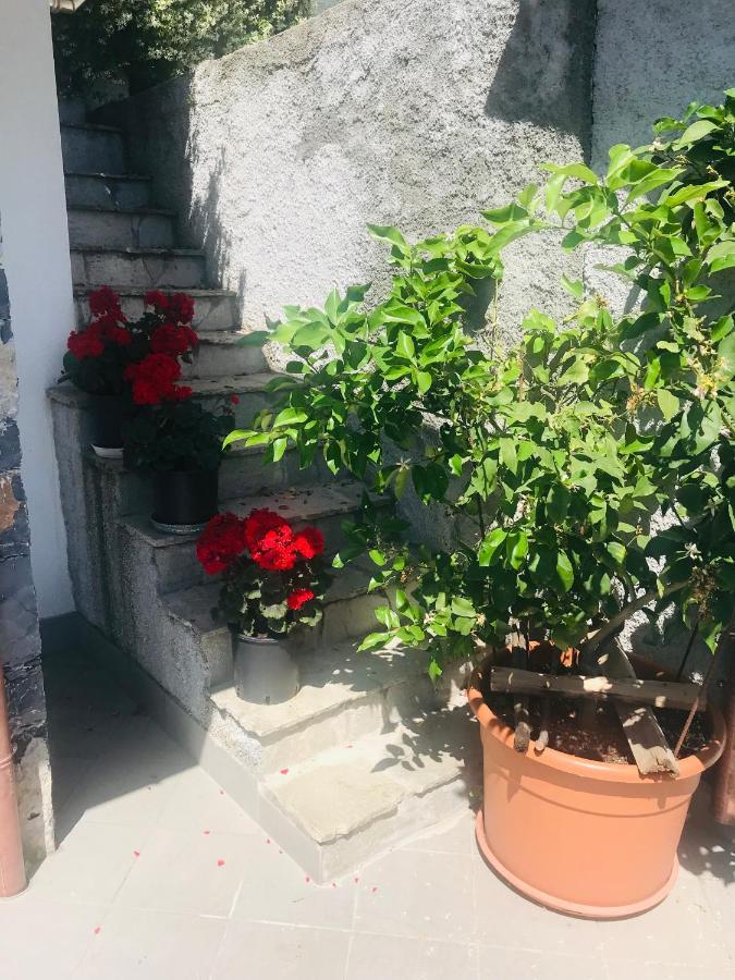 Villa Teresa Casarza Ligure Exterior photo